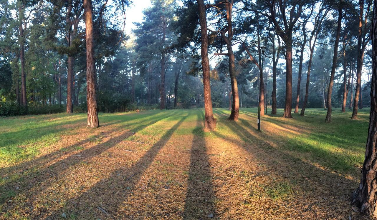 Вилла Sopot 34 Przy Plazy Экстерьер фото